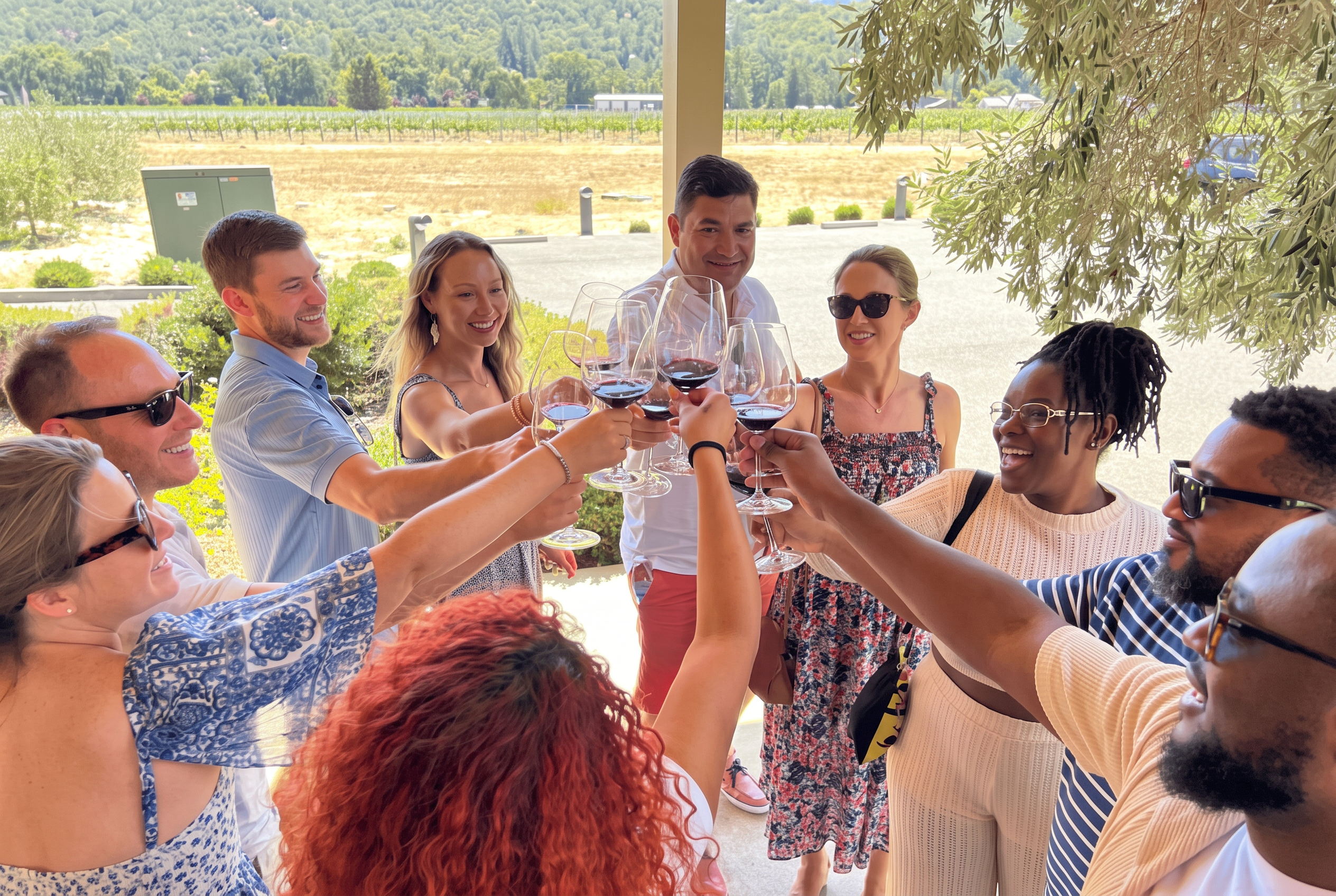 Guests raising glasses of red wine together under an olive tree